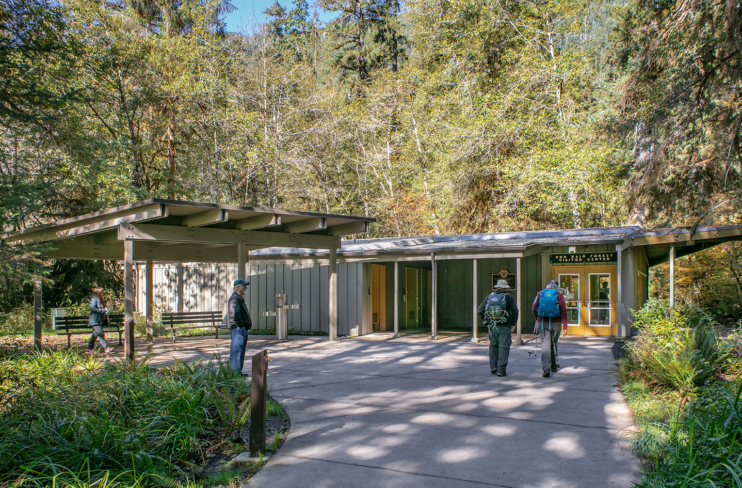 Single story mid-century Hoh Rainforest Visitor Center with outdoor visitor gathering space and plaza. Building is surrounded by a lush rainforest.