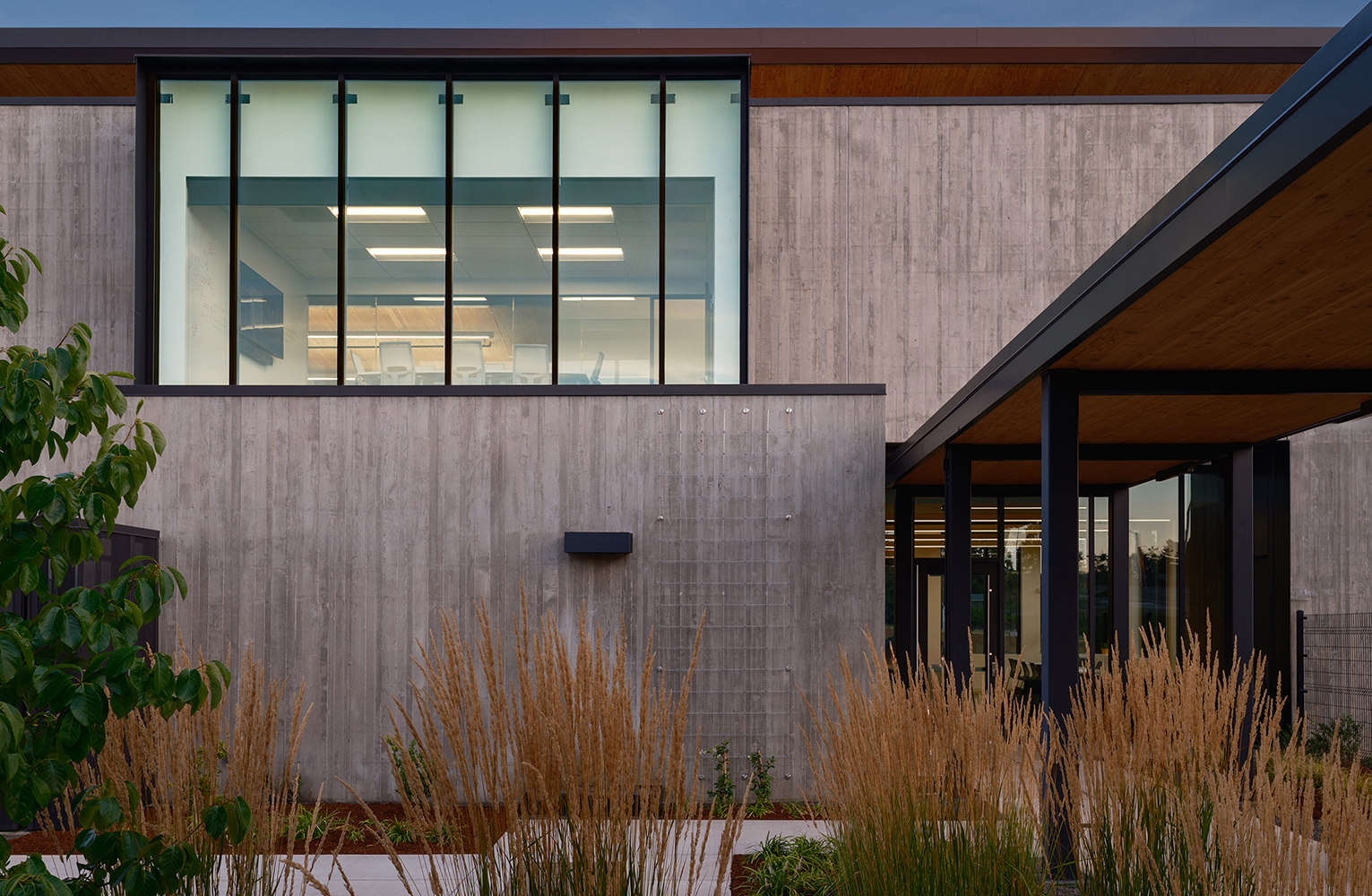 Tall grasses frame the concrete façade and courtyard entrance of the Sunrise Water Authority building, with the illuminated second-floor conference room visible through large glazing above.