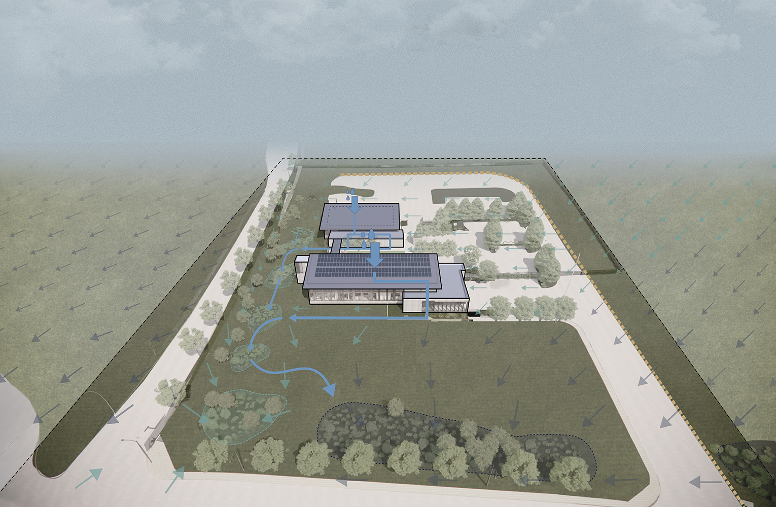 A diagram of the Sunrise Water Authority campus showing roof runoff and site grading that direct stormwater through planted basins and swales toward the restored wetland at the property's southern edge.