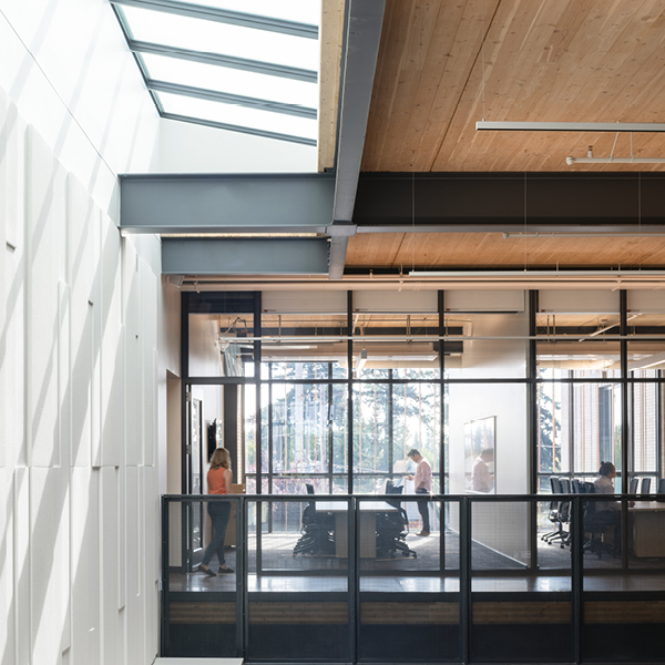 Atrium view into light filled conference rooms. Floor to ceiling windows expose the forest outside. Mass timber ceiling held by steel structural elements.