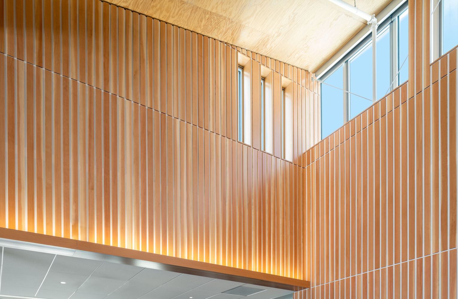 Exposed mass timber construction detail from the corner of a high wall. Light is streaming in and reflecting warmth in the wood.