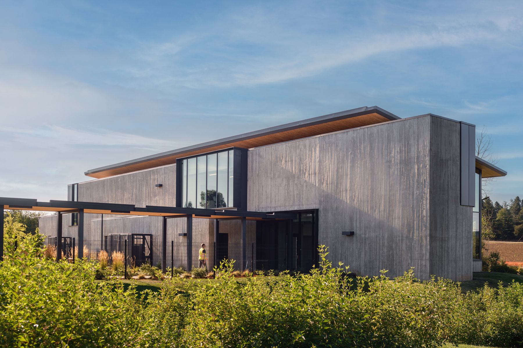 A covered walkway connects Sunrise Water Authority campus buildings, framed by textured concrete, warm wood soffits, and native landscaping.