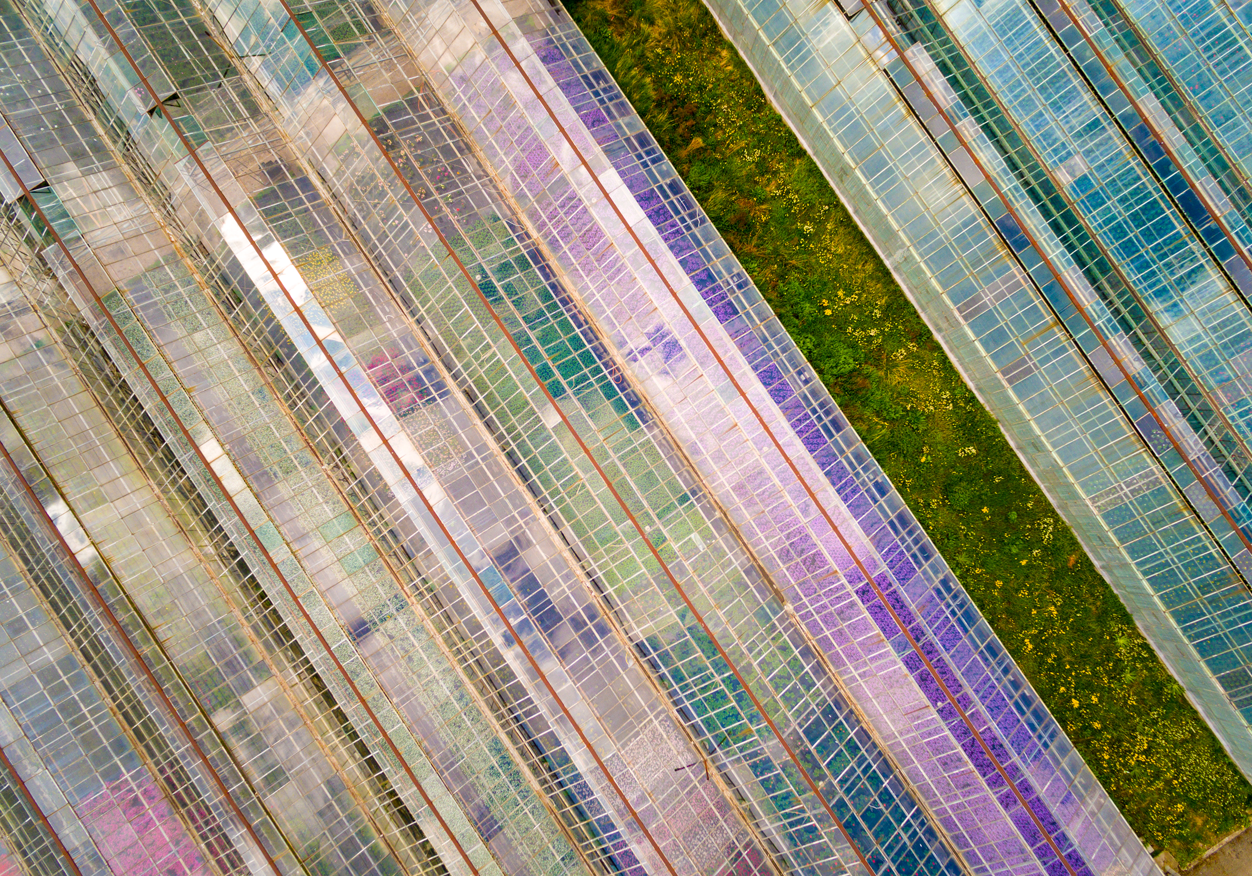 Aerial photo of large, multi-colored greenhouses