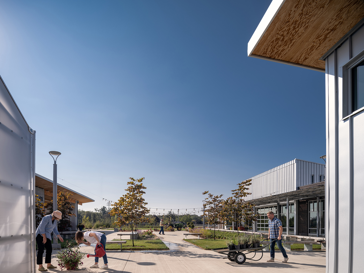 People gardening in an outdoor plaza