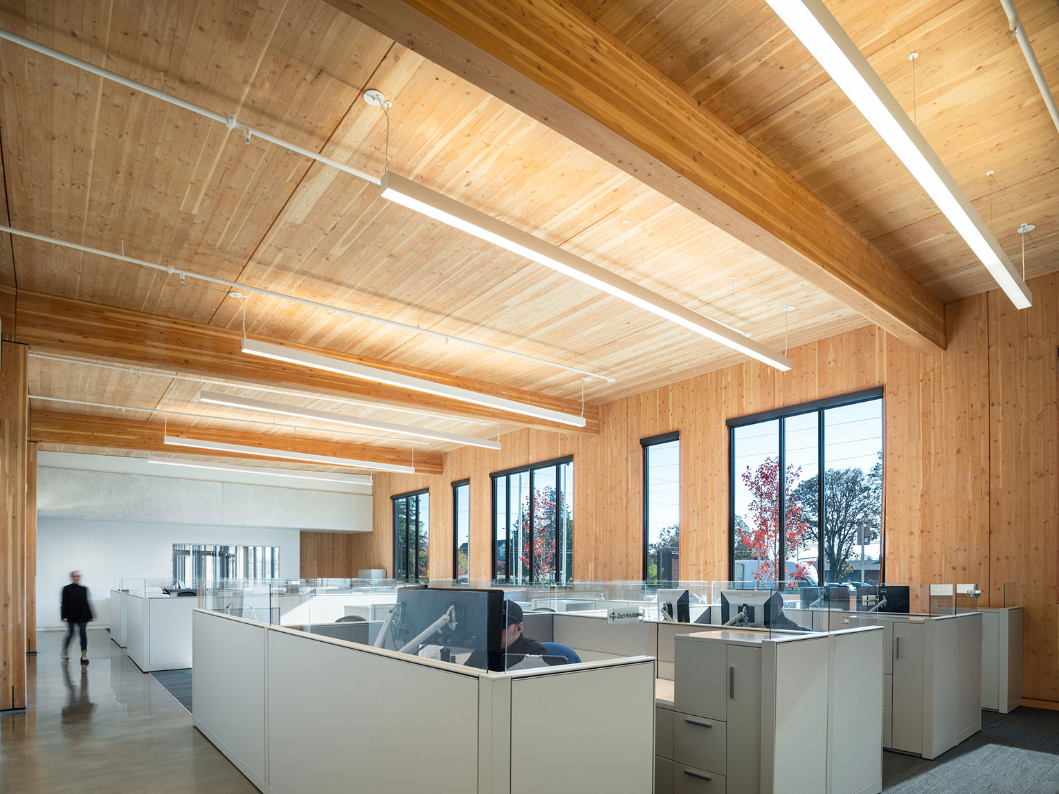 Open office with low cubicles and mass timber ceiling and walls