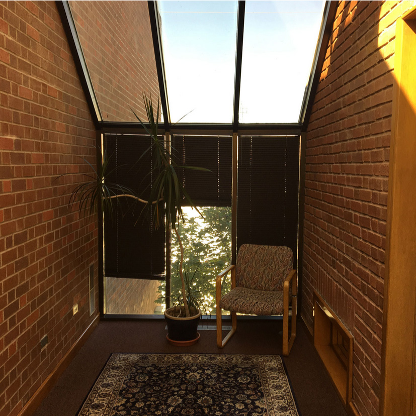 A dark nook in a library, featuring brick walls, old, broken horizontal blinds, an outdated chair and a scraggly-looking plant