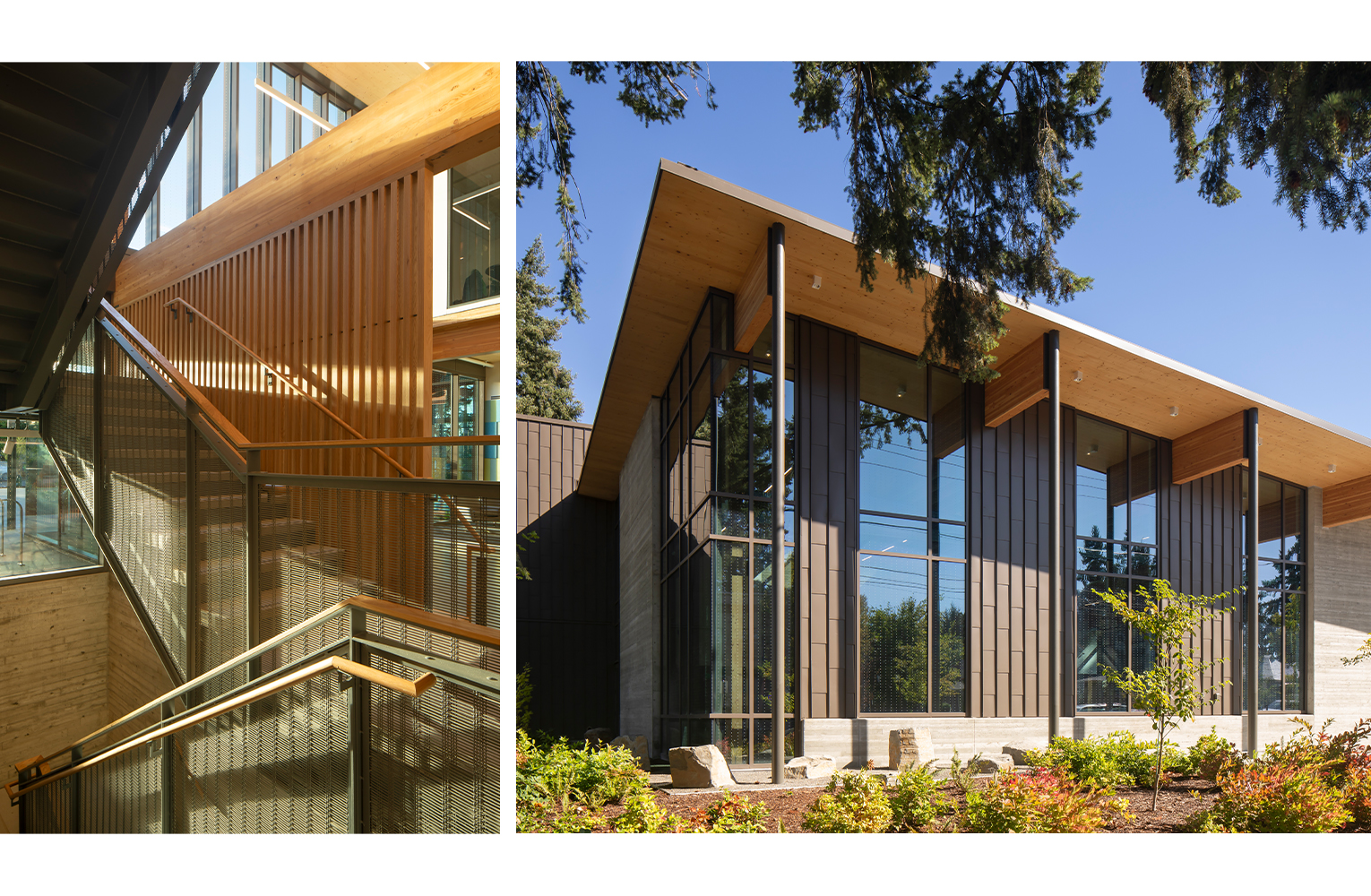 Exposed mass-timber stair and the event hall exterior showcase sloped rooflines, deep overhangs, and large windows connecting the building to the park